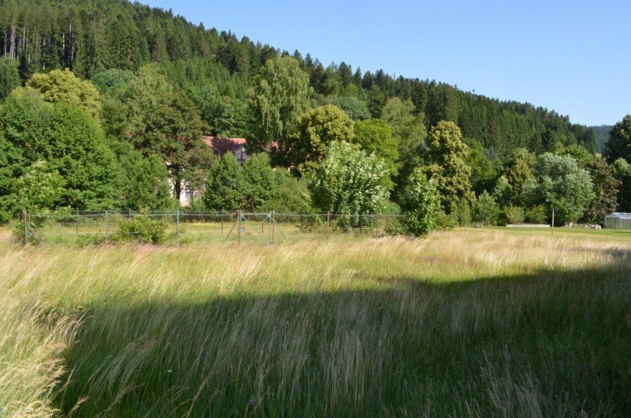 Grundst�ck/Garten Haus Baiersbronn