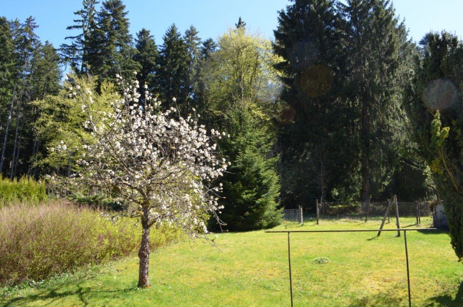Grundst�ck Zweifamilienhaus Freudenstadt