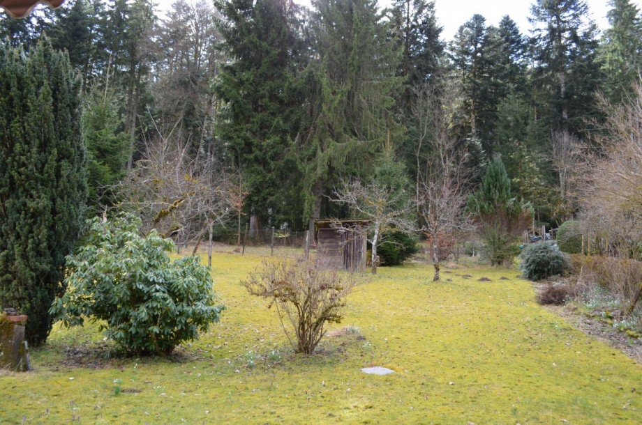 Grundst�ck Zweifamilienhaus Freudenstadt