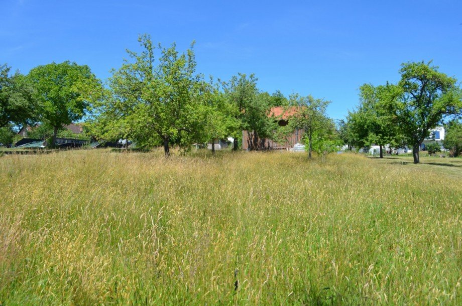 Grundst�ck Haus Pfalzgrafenweiler-Herzogsweiler