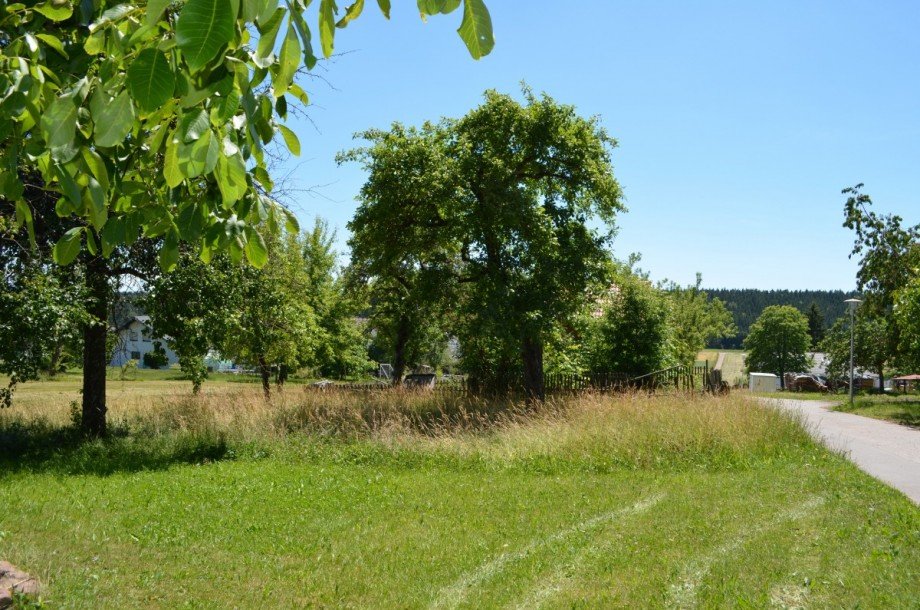 Grundst�ck Haus Pfalzgrafenweiler