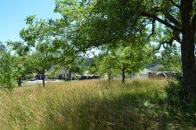 Grundst�ck Sanierungsbed�rftiges Bauernhaus auf einem weitl�ufigen Grundst�ck