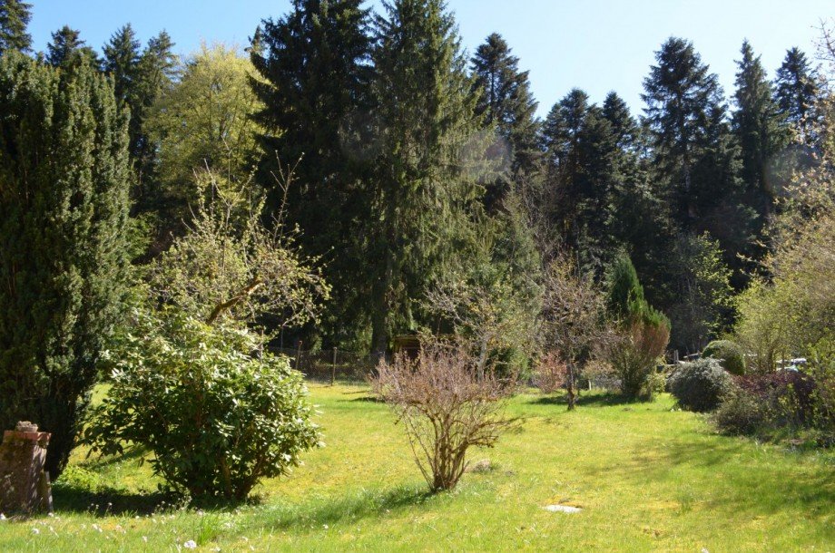 Grundst�ck Zweifamilienhaus Freudenstadt